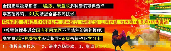 信息差赚钱永不过期，倒卖科学养鸡技能教程一单298！