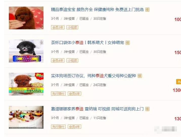 网上赚钱如何操作宠物行业？引流精准粉，月被动收入过万！