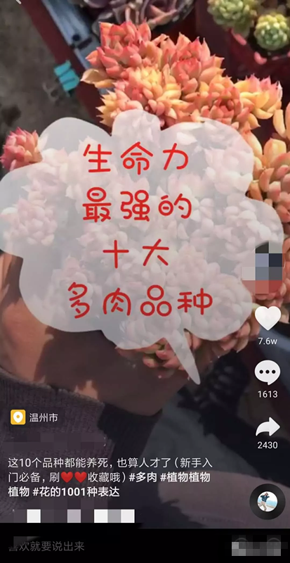 永生花项目，特别的东西总是暴利的！