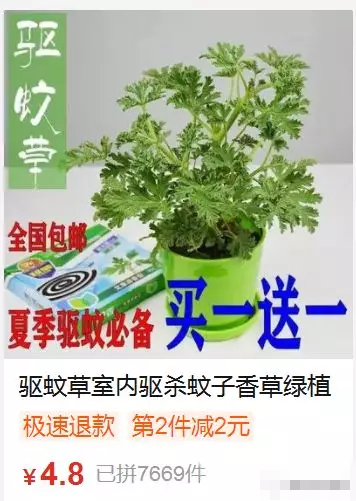 网售驱蚊草项目，一个适宜夏天操作的产品！