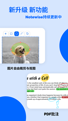 Notewise截图1