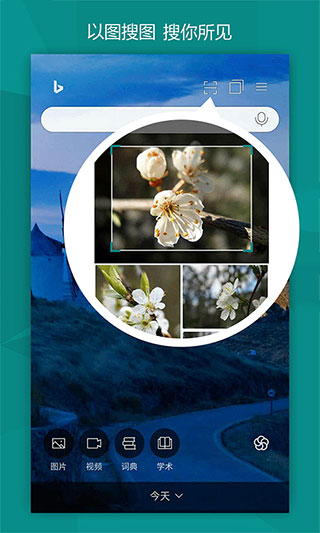 Bing国际版.jpg Bing国际版.jpg