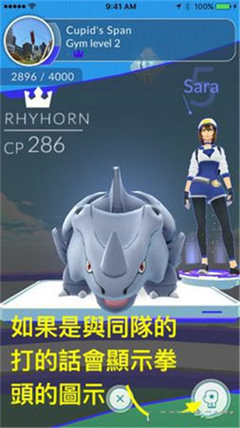 精灵宝可梦锆石官方正版截图1