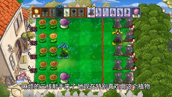 植物大战僵尸双人对战版截图2