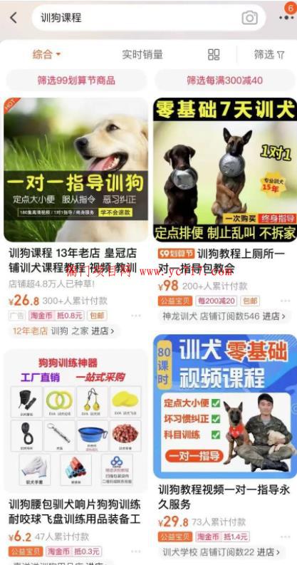 低成本宠物项目，单天利润三五百（一个人低成本创业项目）