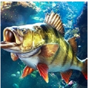 杰瑞米瓦德钓鱼游戏