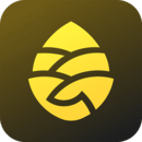 松果出行app