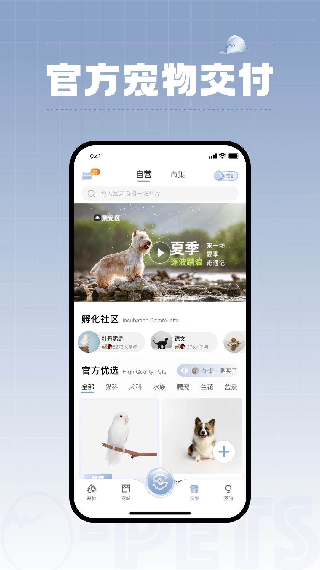 集宠区 v3.7.0安卓版截图3